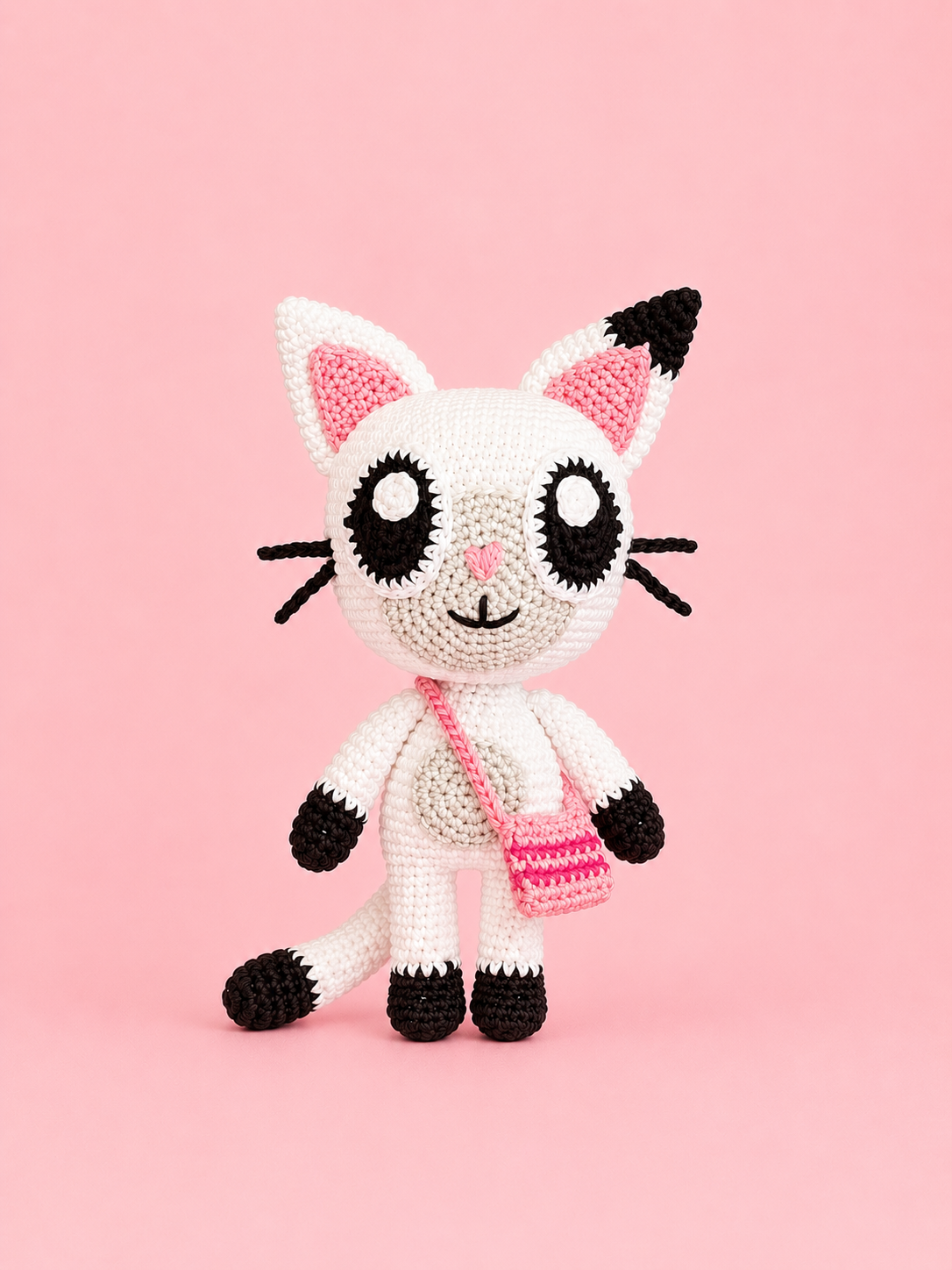 Pandy Pattes